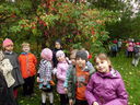 Имя файла=2012092820.JPG
Размер файла=297КБ
Размеры=800x600
Дата=Окт 01, 2012 2012092820.JPG