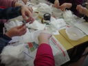 DSC02166.jpg