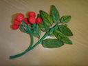 DSC02175.jpg