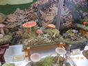 DSCN2878.JPG