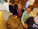 DSCN2883.JPG