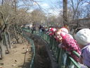 IMG_5875.JPG