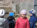 IMG_5887.JPG