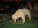 IMG_6577.JPG