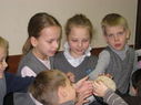 IMG_6647~0.JPG