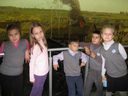 IMG_6385-1200.jpg