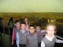 IMG_6387-1200.jpg